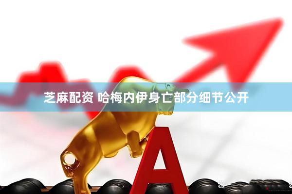 芝麻配资 哈梅内伊身亡部分细节公开