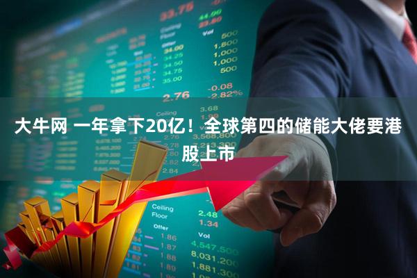大牛网 一年拿下20亿！全球第四的储能大佬要港股上市