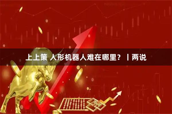 上上策 人形机器人难在哪里？丨两说