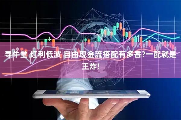 寻牛堂 红利低波 自由现金流搭配有多香?一配就是王炸!