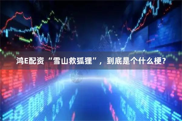 鸿E配资 “雪山救狐狸”，到底是个什么梗？