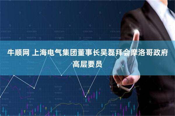 牛顺网 上海电气集团董事长吴磊拜会摩洛哥政府高层要员