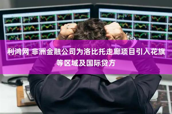 利鸿网 非洲金融公司为洛比托走廊项目引入花旗等区域及国际贷方