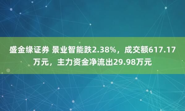 盛金缘证券 景业智能跌2.38%，成交额617.17万元，主力资金净流出29.98万元