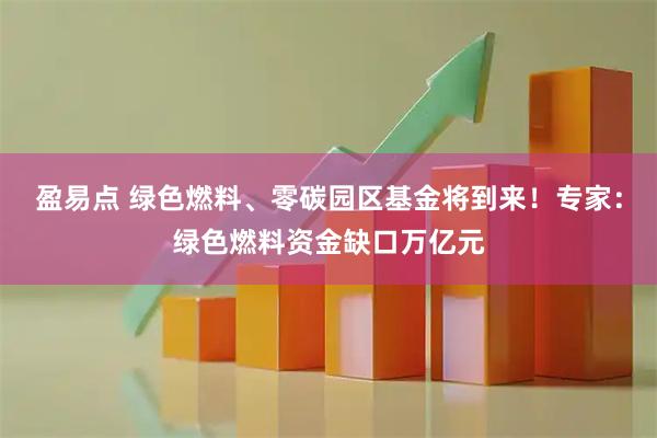 盈易点 绿色燃料、零碳园区基金将到来！专家：绿色燃料资金缺口万亿元