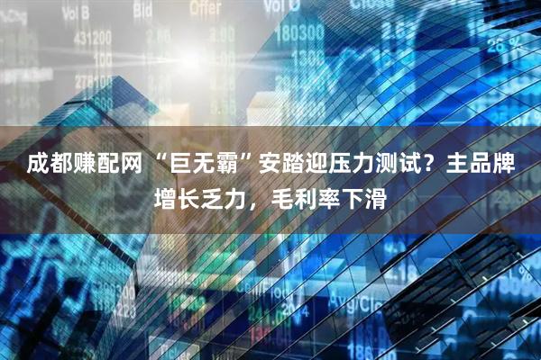 成都赚配网 “巨无霸”安踏迎压力测试？主品牌增长乏力，毛利率下滑