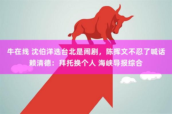 牛在线 沈伯洋选台北是闹剧，陈挥文不忍了喊话赖清德：拜托换个人 海峡导报综合