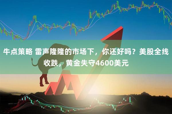 牛点策略 雷声隆隆的市场下，你还好吗？美股全线收跌，黄金失守4600美元