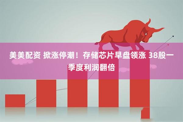 美美配资 掀涨停潮！存储芯片早盘领涨 38股一季度利润翻倍