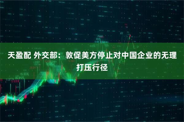 天盈配 外交部：敦促美方停止对中国企业的无理打压行径