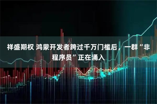 祥盛期权 鸿蒙开发者跨过千万门槛后，一群“非程序员”正在涌入