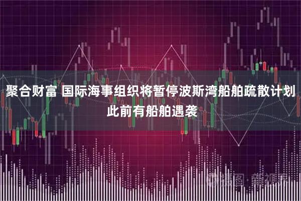 聚合财富 国际海事组织将暂停波斯湾船舶疏散计划 此前有船舶遇袭