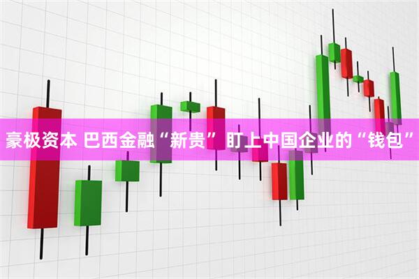 豪极资本 巴西金融“新贵” 盯上中国企业的“钱包”